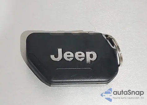 2019 Jeep Wrangler Unlimited Sahara z USA, uszkodzony, nr VIN 1C4HJXEGXKW543466